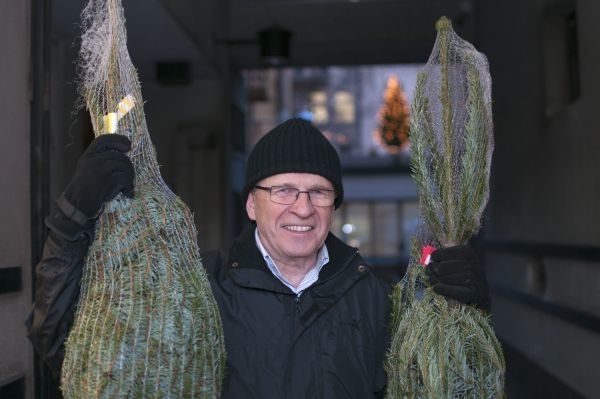 Ilahduta Filantropian joulukortilla ja kuusella