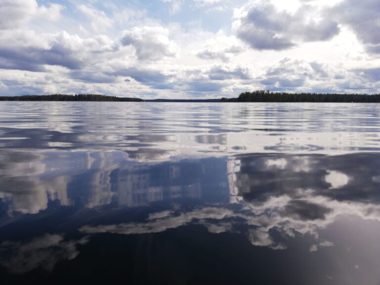 Kesälaitumen reunalta