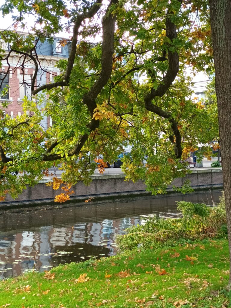 Ekumeeninen Vastuuviikko muistuttaa kohtuullisuudesta