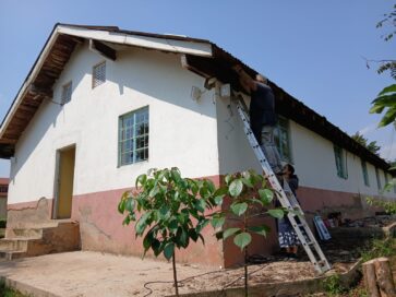 Kaksi henkilöä tikkailla korjaamassa vaaleaseinäisen talon kattoa. Edessä pieni puu, taustalla sininen taivas.