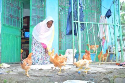 Henkilö ruokkii kanoja sinisen talon edessä vihreän portin vieressä. Hän käyttää valkoista huivia.