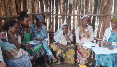 Seitsemän naista keskustelee puumökissä. Jollain on vauva sylissä, useilla muistiinpanoja. Tunnelma on keskittynyt.