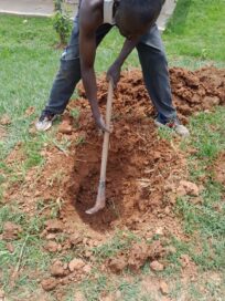 Henkilö kaivaa kuoppaa puutarhassa maatyökalulla, ympärillä vihreää ruohoa ja multaa.