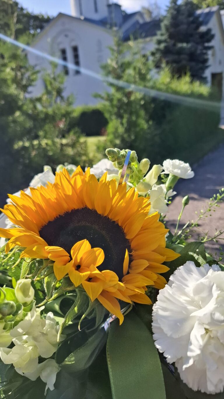 Auringonkukka ja valkoisia kukkia kimarassa, taustalla valkoinen rakennus, aurinkoinen päivä.