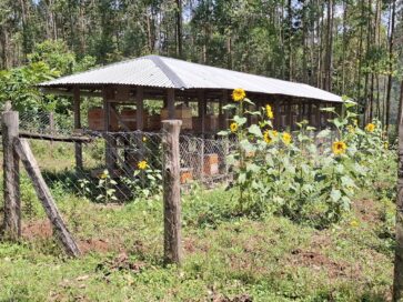 Aurinkoisessa maisemassa mehiläispesiä aitauksessa, ympärillä vehreää metsää ja kukkivia auringonkukkia.