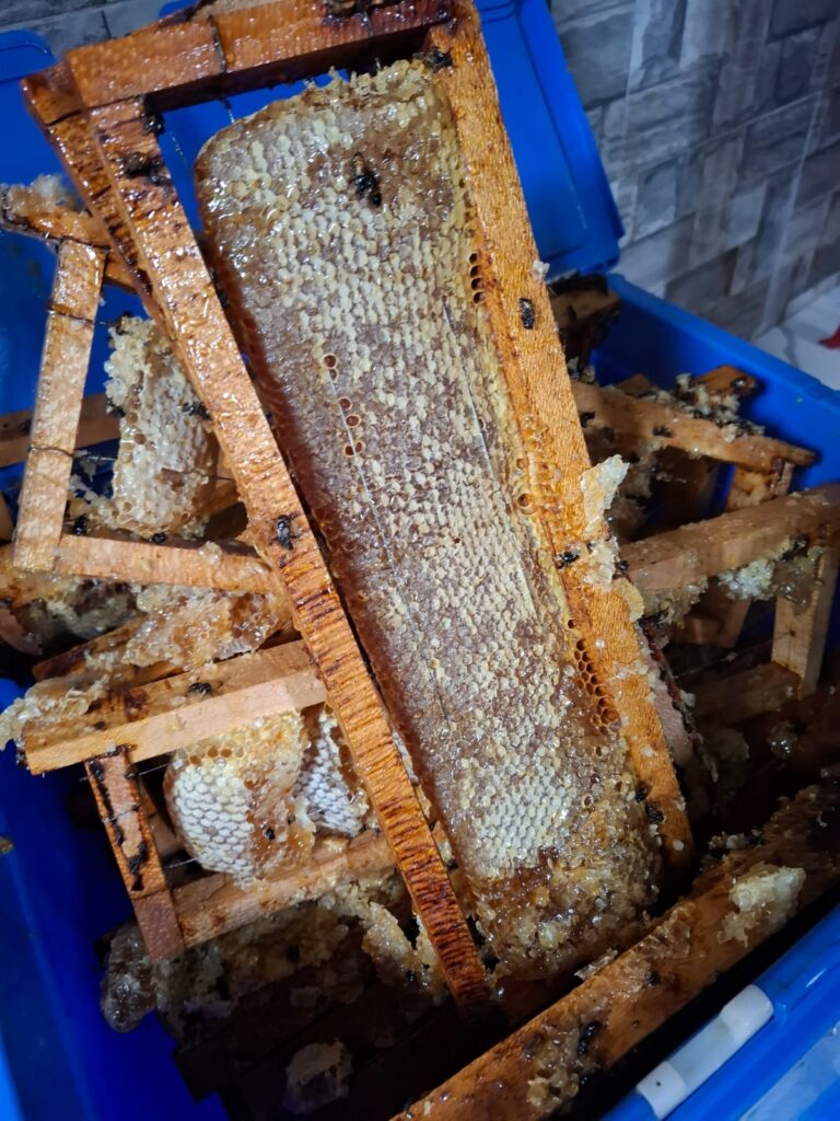 Kuvassa on hunajakennoja puukehikoissa sinisessä astiassa.