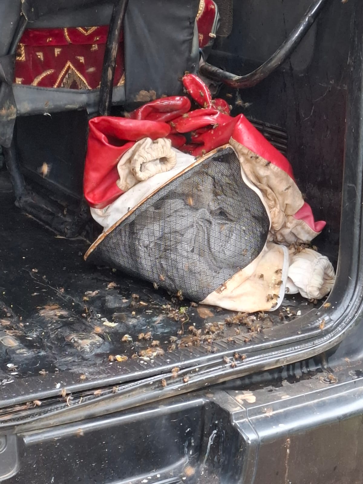 Hunajapukujen ja välineiden kasa, jossa on myös mehiläisiä, sijaitsee auton takaluukussa.