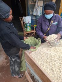 Kaksi naista työskentelee maissin käsittelyn parissa, toinen täyttää säkkiä ja toinen tarkkailee prosessia.