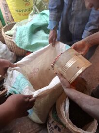 Kaksi kättä pitää avointa säkkiä, kun toinen käsi kaataa papuja metalliseen astiaan.