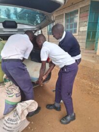 Kolme poikaa purkaa kuormaa autosta, keskittyneinä työhönsä.